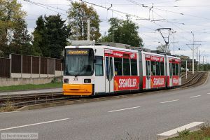 Bild: mainz215_bk1910050033.jpg - anklicken zum Vergrößern Bild: mainz215_bk1910050033.jpg - anklicken zum Vergrößern