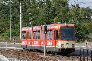 Bild: mainz271_bk1108160155.jpg - anklicken zum Vergrößern Bild: mainz271_bk1108160155.jpg - anklicken zum Vergrößern