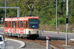 Bild: mainz273_bk1108160142.jpg - anklicken zum Vergrößern Bild: mainz273_bk1108160142.jpg - anklicken zum Vergrößern