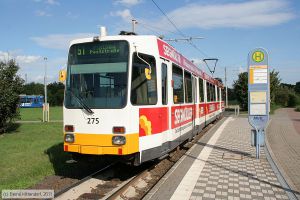 Bild: mainz275_bk1108160119.jpg - anklicken zum Vergrößern Bild: mainz275_bk1108160119.jpg - anklicken zum Vergrößern