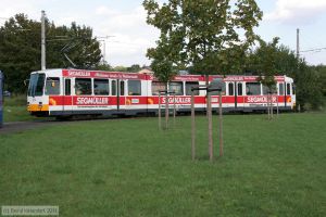 Bild: mainz275_bk1108160123.jpg - anklicken zum Vergrößern Bild: mainz275_bk1108160123.jpg - anklicken zum Vergrößern