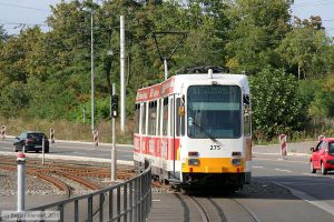 Bild: mainz275_bk1108160139.jpg - anklicken zum Vergrößern Bild: mainz275_bk1108160139.jpg - anklicken zum Vergrößern