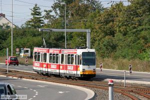 Bild: mainz275_bk1108160140.jpg - anklicken zum Vergrößern Bild: mainz275_bk1108160140.jpg - anklicken zum Vergrößern