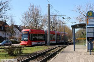 Bild: mainz219_bk1903210057.jpg - anklicken zum Vergrößern Bild: mainz219_bk1903210057.jpg - anklicken zum Vergrößern