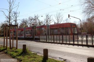 Bild: mainz220_bk1903290136.jpg - anklicken zum Vergrößern Bild: mainz220_bk1903290136.jpg - anklicken zum Vergrößern