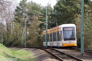 Bild: mainz224_bk1903290032.jpg - anklicken zum Vergrößern Bild: mainz224_bk1903290032.jpg - anklicken zum Vergrößern