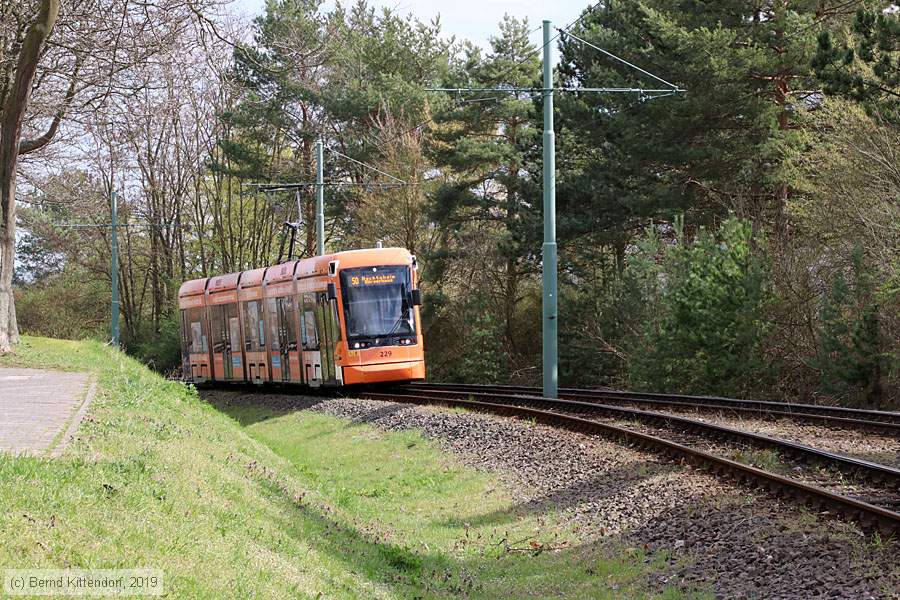 Straßenbahn Mainz - 229
/ Bild: mainz229_bk1903290043.jpg