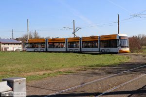 Bild: mainz236_bk1903210043.jpg - anklicken zum Vergrößern Bild: mainz236_bk1903210043.jpg - anklicken zum Vergrößern