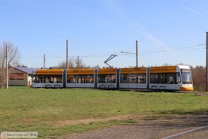 Bild: mainz236_bk1903210044.jpg - anklicken zum Vergrößern Bild: mainz236_bk1903210044.jpg - anklicken zum Vergrößern