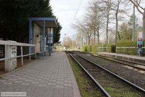 Bild: mainzanlagen_bk1903290034.jpg - anklicken zum Vergrößern Bild: mainzanlagen_bk1903290034.jpg - anklicken zum Vergrößern