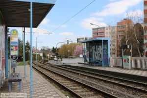 Bild: mainzanlagen_bk1903290056.jpg - anklicken zum Vergrößern Bild: mainzanlagen_bk1903290056.jpg - anklicken zum Vergrößern