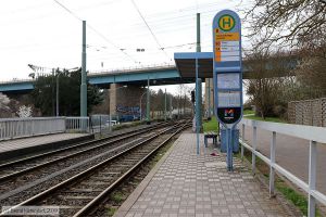 Bild: mainzanlagen_bk1903290057.jpg - anklicken zum Vergrößern Bild: mainzanlagen_bk1903290057.jpg - anklicken zum Vergrößern