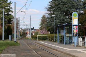 Bild: mainzanlagen_bk1903290083.jpg - anklicken zum Vergrößern Bild: mainzanlagen_bk1903290083.jpg - anklicken zum Vergrößern