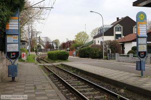 Bild: mainzanlagen_bk1904120065.jpg - anklicken zum Vergrößern Bild: mainzanlagen_bk1904120065.jpg - anklicken zum Vergrößern