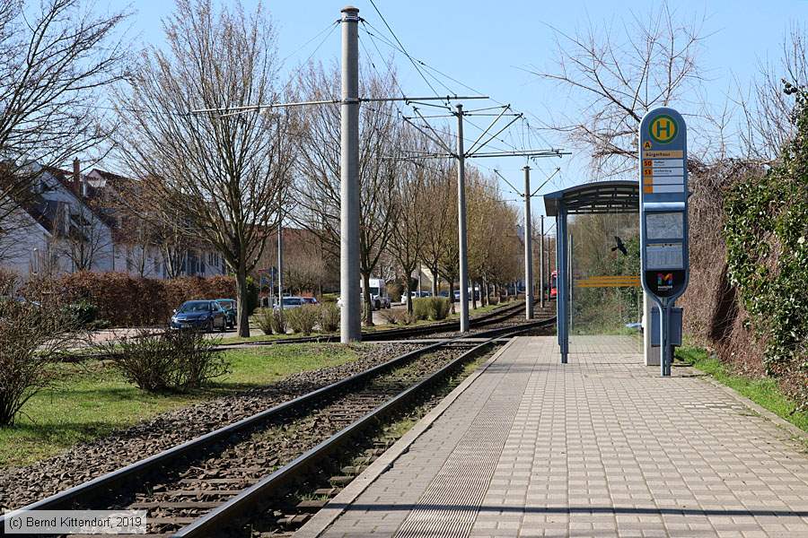 Straßenbahn Mainz - Anlagen
/ Bild: mainzanlagen_bk1903210056.jpg