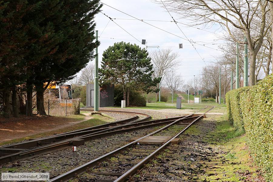 Straßenbahn Mainz - Anlagen
/ Bild: mainzanlagen_bk1903290025.jpg