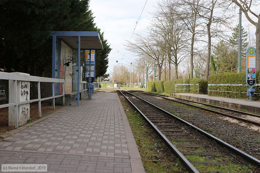 Straßenbahn Mainz - Anlagen
/ Bild: mainzanlagen_bk1903290034.jpg