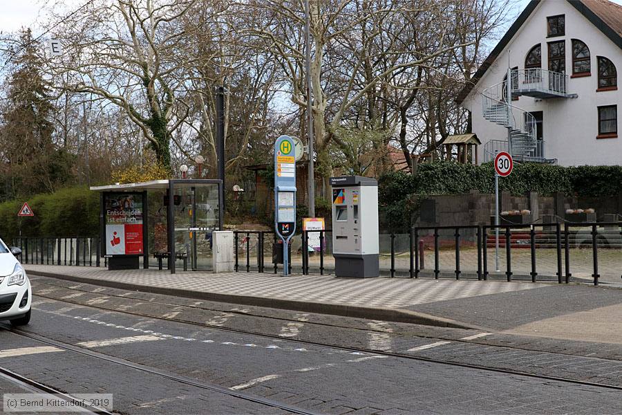 Straßenbahn Mainz - Anlagen
/ Bild: mainzanlagen_bk1903290050.jpg