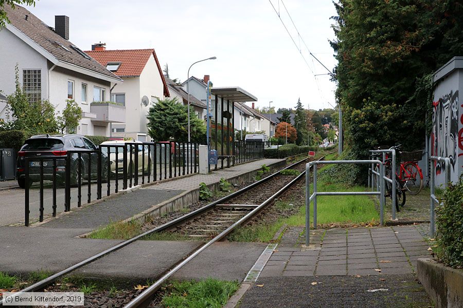 Straßenbahn Mainz - Anlagen
/ Bild: mainzanlagen_bk1910050015.jpg
