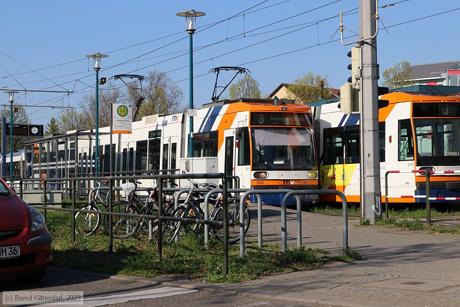Straßenbahn Mannheim - 5601
/ Bild: rnv5601_bk2304050017.jpg