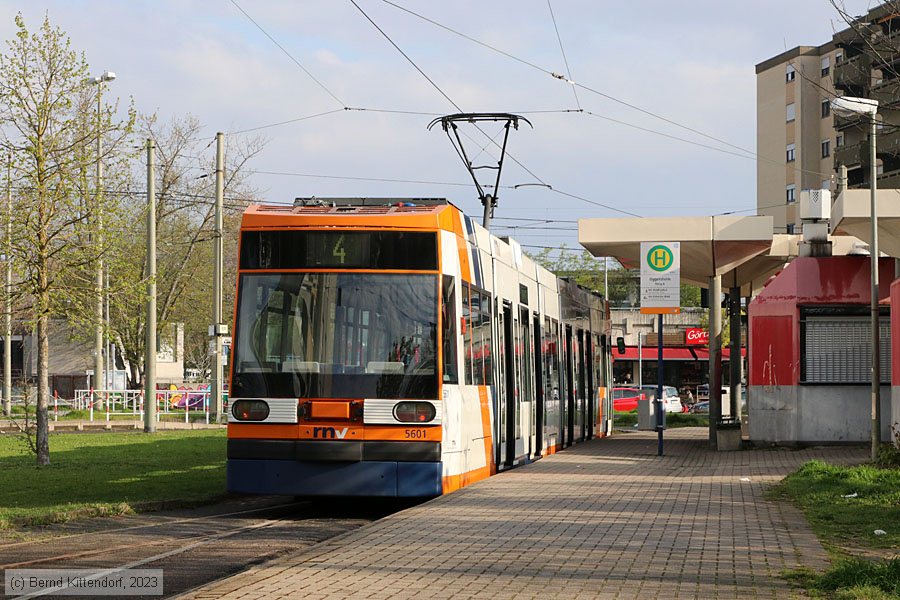 Straßenbahn Mannheim - 5601
/ Bild: rnv5601_bk2304170002.jpg