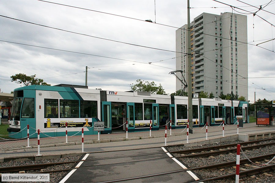 Straßenbahn Mannheim - 5602
/ Bild: rnv5602_bk1108060005.jpg