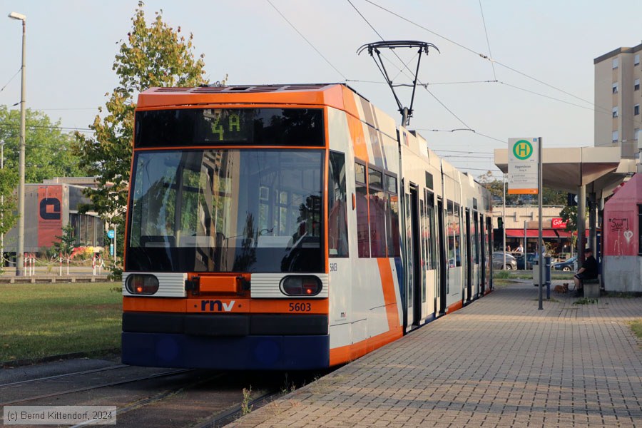 Straßenbahn Mannheim - 5603
/ Bild: rnv5603_bk2409050001.jpg