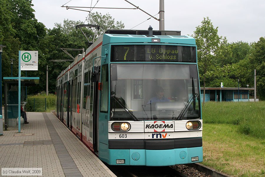 Straßenbahn Mannheim - 603
/ Bild: mvg603_cw0905130049.jpg