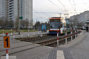 Bild: rnv5604_bk2102180001.jpg - anklicken zum Vergrößern