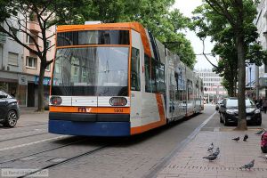 Bild: rnv5604_bk2506020025.jpg - anklicken zum Vergr&ouml;&szlig;ern