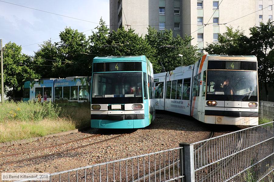 Straßenbahn Mannheim - 5604
/ Bild: rnv5604_bk1807040005.jpg