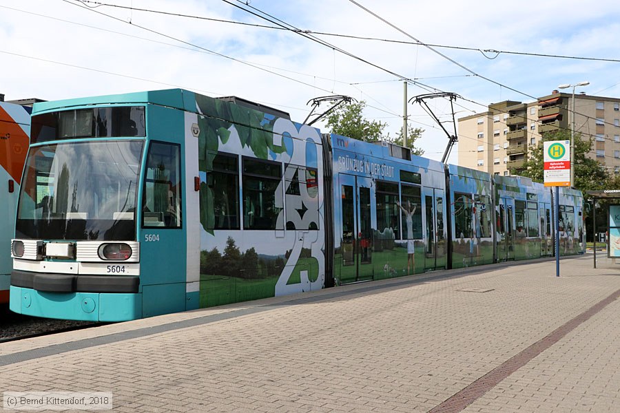 Straßenbahn Mannheim - 5604
/ Bild: rnv5604_bk1807090003.jpg