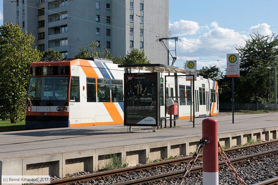 Straßenbahn Mannheim - 5606
/ Bild: rnv5606_bk1708190028.jpg