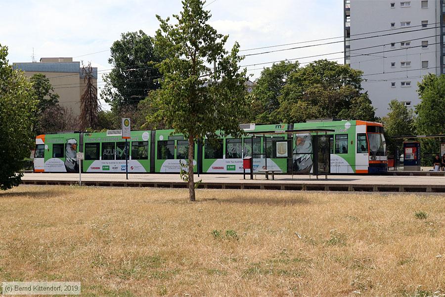Straßenbahn Mannheim - 5611
/ Bild: rnv5611_bk1907080002.jpg