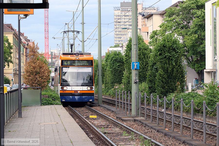 Straßenbahn Mannheim - 5611
/ Bild: rnv5611_bk2506070005.jpg