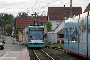 Bild: rnv5612_bk1008070005.jpg - anklicken zum Vergrößern
