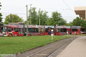Bild: rnv5612_bk1805020006.jpg - anklicken zum Vergrößern