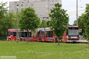 Bild: rnv5612_bk1805020008.jpg - anklicken zum Vergrößern