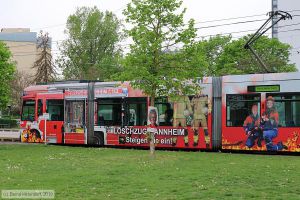 Bild: rnv5612_bk1904230001.jpg - anklicken zum Vergrößern