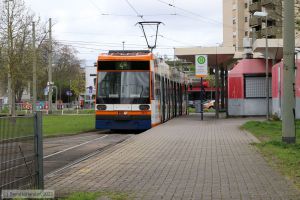 Bild: rnv5612_bk2304130001.jpg - anklicken zum Vergrößern