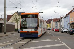 Bild: rnv5612_bk2304130002.jpg - anklicken zum Vergrößern