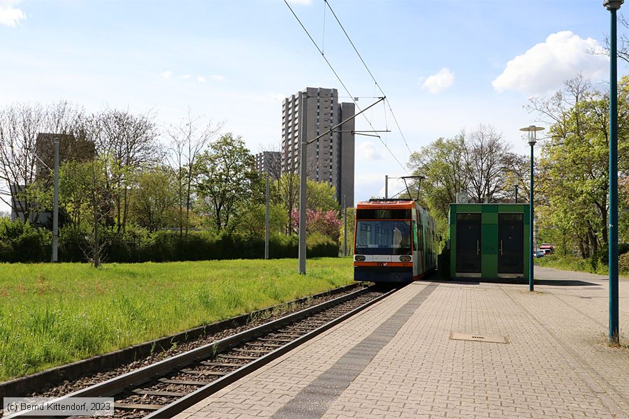 Straßenbahn Mannheim - 5612
/ Bild: rnv5612_bk2304140044.jpg
