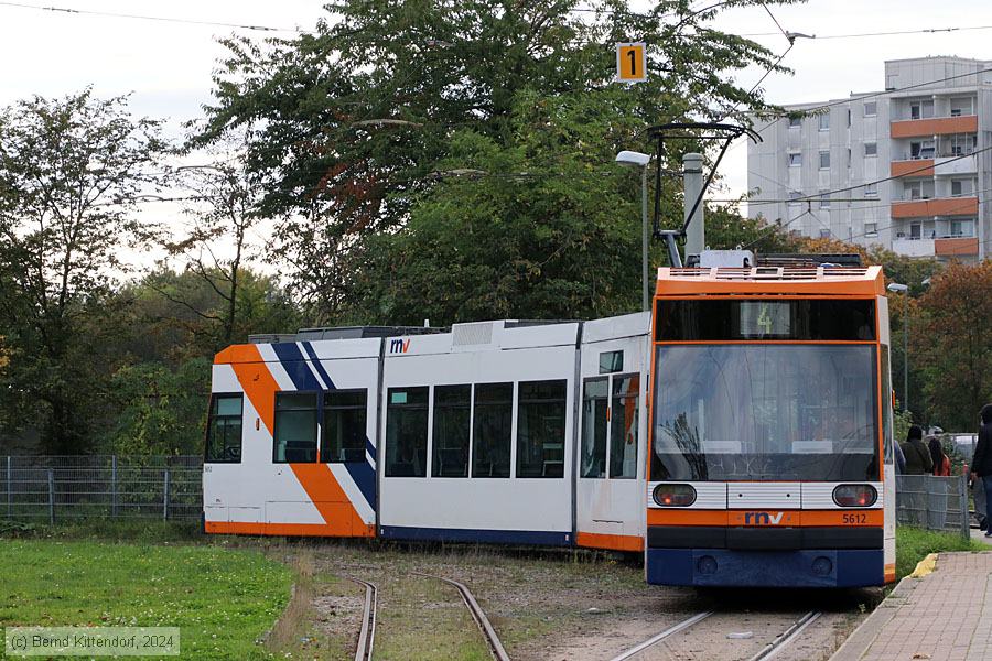 Straßenbahn Mannheim - 5612
/ Bild: rnv5612_bk2410170004.jpg Straßenbahn Mannheim - 5612
/ Bild: rnv5612_bk2410170004.jpg
