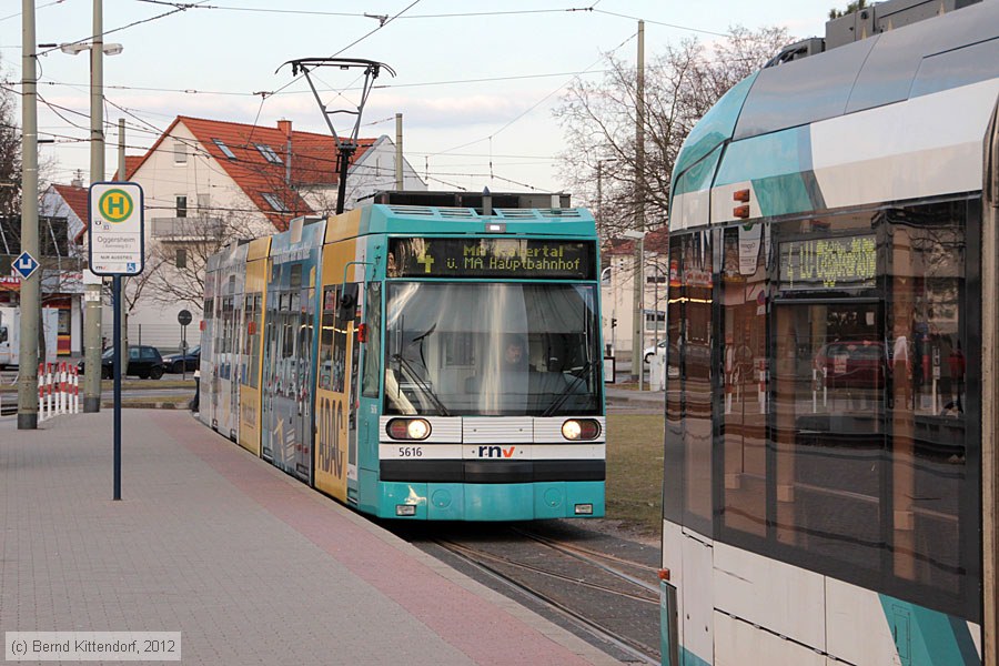Straßenbahn Mannheim - 5616
/ Bild: rnv5616_bk1203060054.jpg