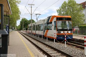 Bild: rnv5617_bk2105200009.jpg - anklicken zum Vergr&ouml;&szlig;ern