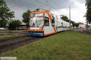 Bild: rnv5618_bk1706030002.jpg - anklicken zum Vergrößern