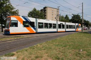 Bild: rnv5618_bk1707070005.jpg - anklicken zum Vergrößern