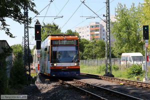 Bild: rnv5618_bk1806300002.jpg - anklicken zum Vergrößern