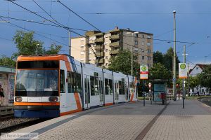 Bild: rnv5618_bk1807040016.jpg - anklicken zum Vergrößern