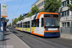 Bild: rnv5618_bk2106170015.jpg - anklicken zum Vergrößern